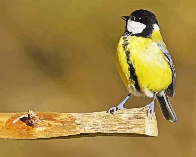 Parus Bird looking up Diamond With Numbers Parus Bird Looking Up Diamond Painting