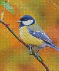 Parus Bird On A Branch Diamond Painting