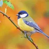 Parus Bird On A Branch Diamond Painting