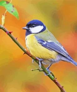 Parus Bird On A Branch Diamond Painting