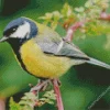 Parus Bird On A Tree Branch Diamond Painting