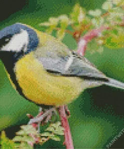 Parus Bird On A Tree Branch Diamond Painting