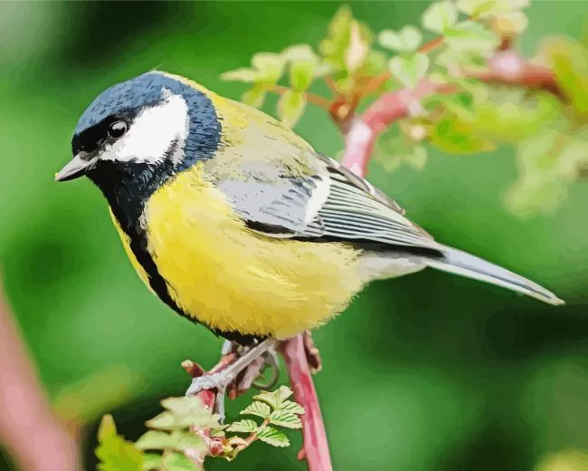 Parus Bird on a tree branch Diamond With Numbers Parus Bird On A Tree Branch Diamond Painting