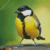 Parus Bird With Black Head Diamond Painting