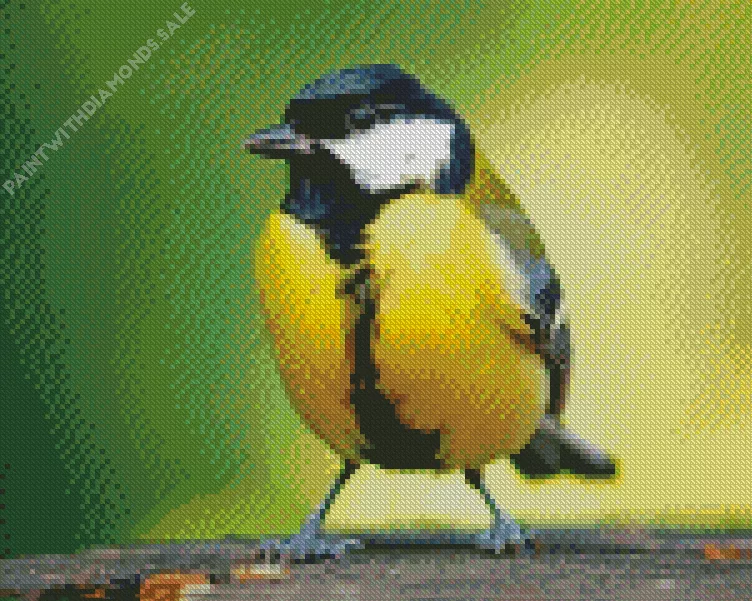 Parus Bird with black head Diamond Dotz Parus Bird With Black Head Diamond Painting