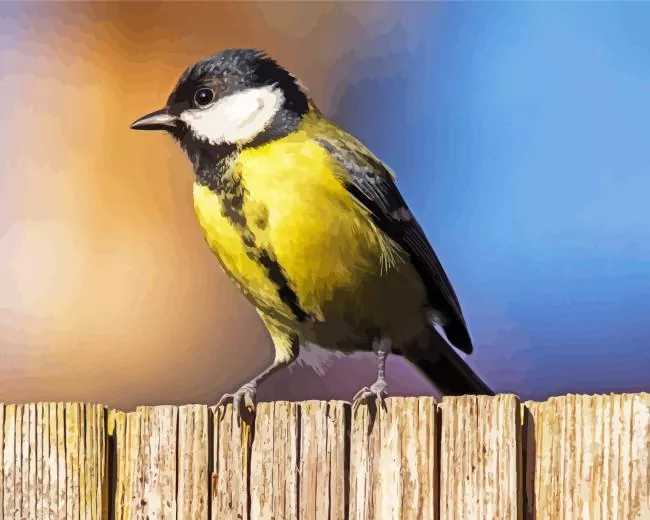 Parus yellow Bird Diamond With Numbers Parus Yellow Bird Diamond Painting