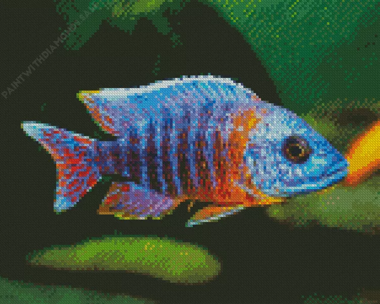 Peacock Cichlid Fish Diamond With Numbers Peacock Cichlid Fish Diamond Painting