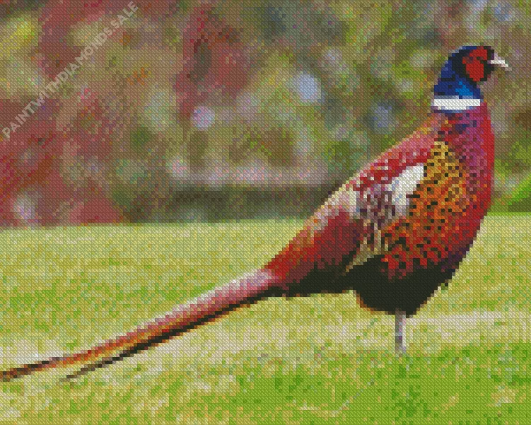 Pheasant Diamond Paints Pheasant Diamond Painting