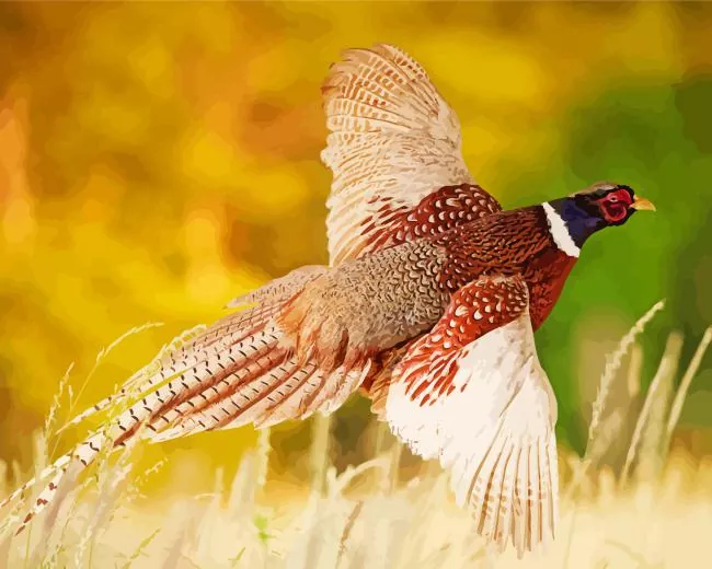 Pheasant bird Diamond By Numbers Pheasant Bird Diamond Painting