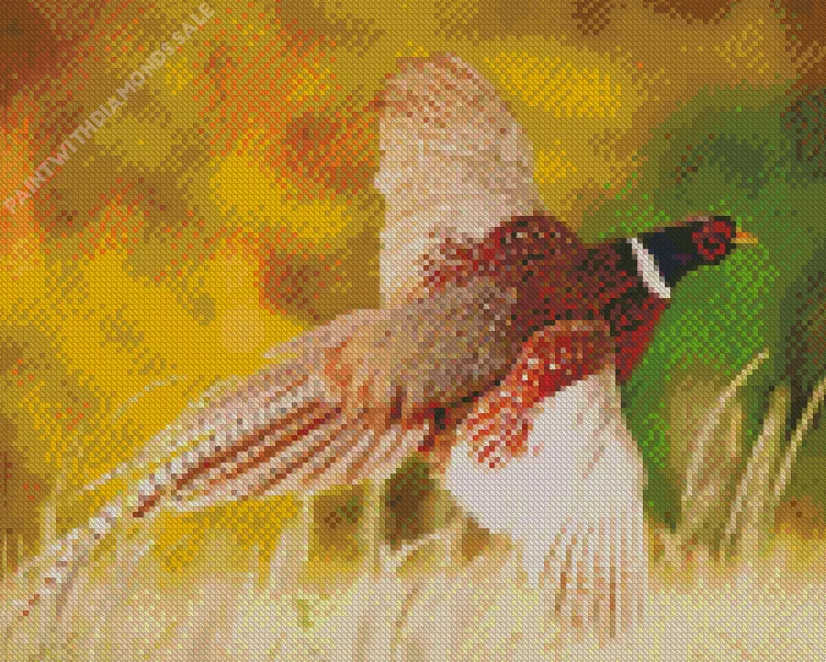 Pheasant bird Diamond Paints Pheasant Bird Diamond Painting