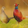 Pheasant Birds Couple Diamond Painting