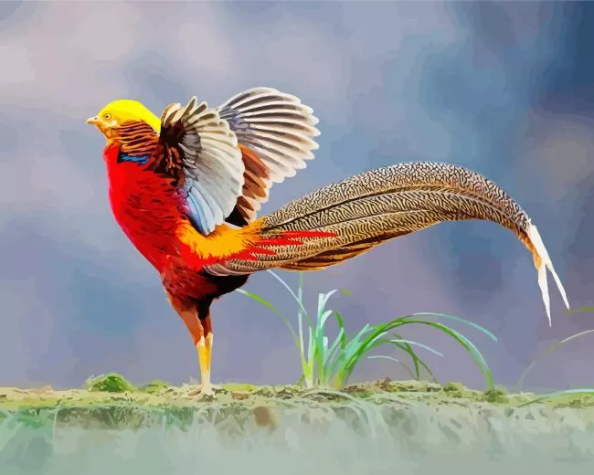 Pheasant flapping wings Diamond By Numbers Pheasant Flapping Wings Diamond Painting