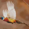 Pheasant Flying Diamond Painting