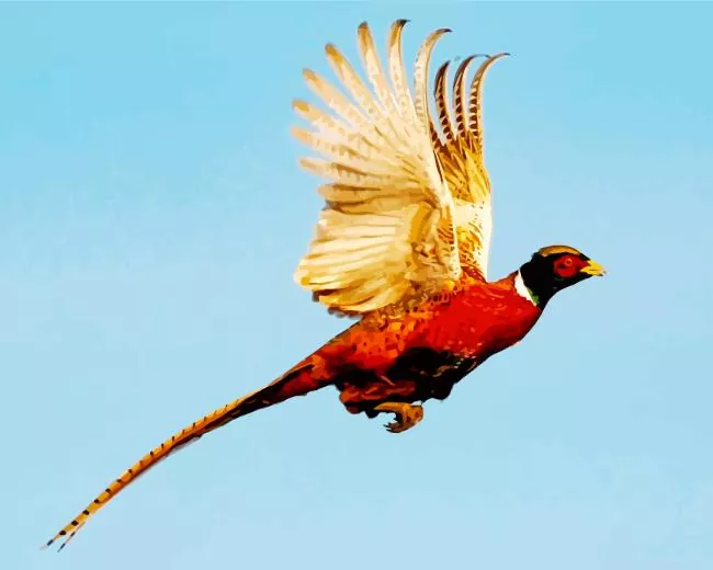 Pheasant flying bird Diamond By Numbers Pheasant Flying Bird Diamond Painting