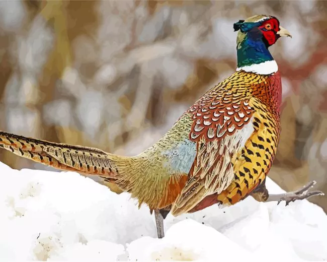 Pheasant in snow Diamond By Numbers Pheasant In Snow Diamond Painting