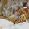 Pheasant In Snow Diamond Painting