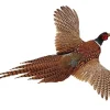 Pheasant With Big Wings Diamond Painting