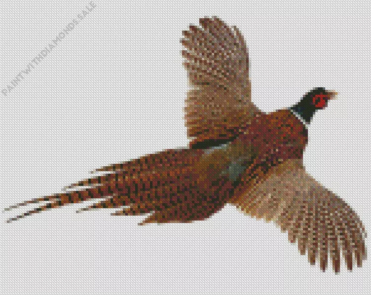 Pheasant with big wings Diamond Paints Pheasant With Big Wings Diamond Painting