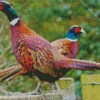 Pheasants Diamond Painting