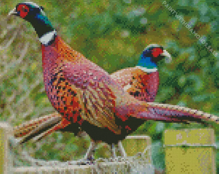 Pheasants Diamond Paints Pheasants Diamond Painting