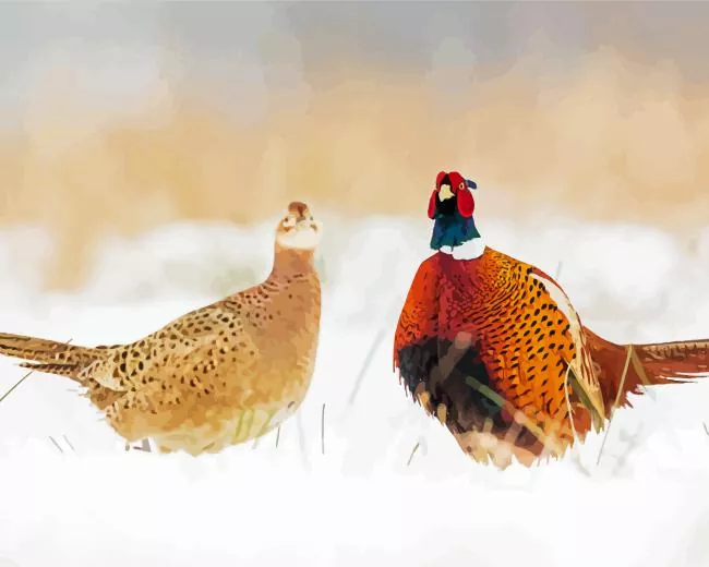 Pheasants couple in snow Diamond By Numbers Pheasants Couple In Snow Diamond Painting