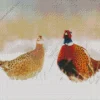 Pheasants Couple In Snow Diamond Painting