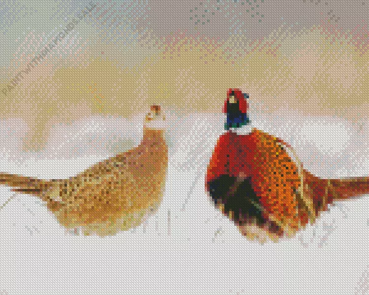 Pheasants couple in snow Diamond Paints Pheasants Couple In Snow Diamond Painting