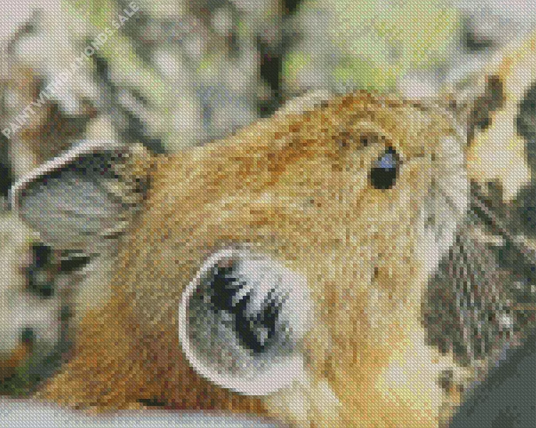 Pika close up Diamond By Numbers Pika Close Up Diamond Painting