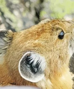 Pika Close Up Diamond Painting