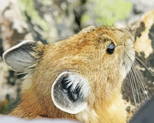 Pika close up Diamond Paintings Pika Close Up Diamond Painting