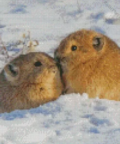 Pika Couple Animals In Snow Diamond Painting