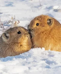 Pika Couple Animals In Snow Diamond Painting