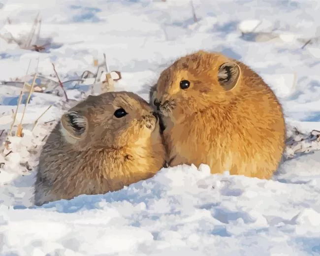 Pika couple animals in snow Diamond Paintings Pika Couple Animals In Snow Diamond Painting