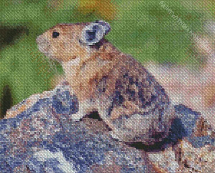 Pika on Rock Diamond By Numbers Pika On Rock Diamond Painting