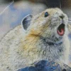 Pika With Opened Mouth Diamond Painting