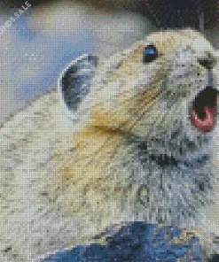 Pika With Opened Mouth Diamond Painting