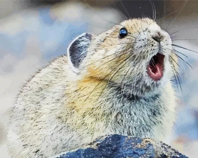Pika with opened mouth Diamond Paintings Pika With Opened Mouth Diamond Painting