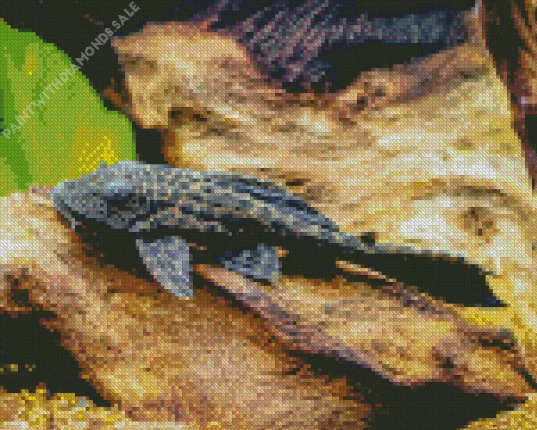 Pleco Diamond With Numbers Pleco Diamond Painting