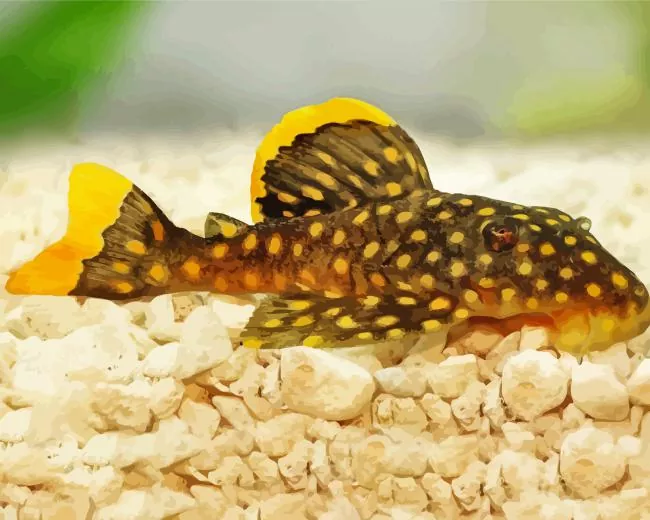 Pleco Fish Diamond Paints Pleco Fish Diamond Painting