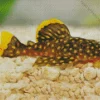 Pleco Fish Diamond Painting