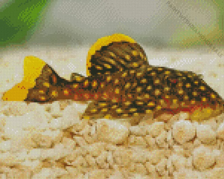 Pleco Fish Diamond With Numbers Pleco Fish Diamond Painting