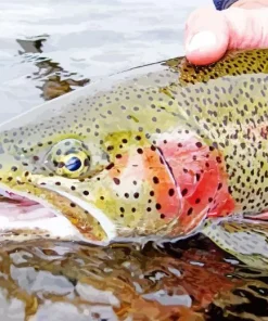 Rainbow Trout Close Up Diamond Painting