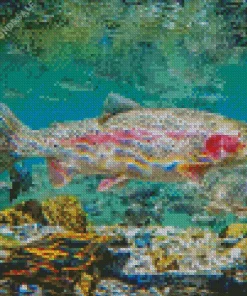 Rainbow Trout Fish Diamond Painting