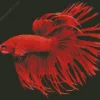 Red Crowntail Betta Diamond Painting
