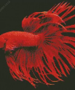 Red Crowntail Betta Diamond Painting
