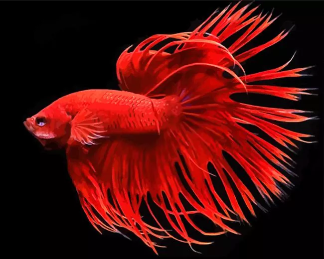 Red Crowntail Betta Diamond With Numbers Red Crowntail Betta Diamond Painting