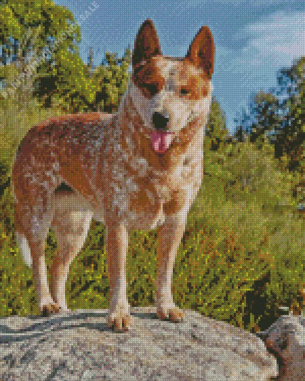 Red Heeler Diamond Dotz Red Heeler Diamond Painting