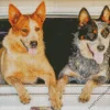 Red Heeler And Blue Heeler Dogs Diamond Painting