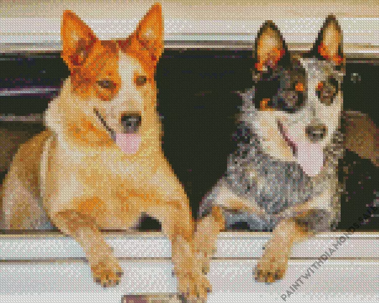 Red Heeler and blue heeler dogs Diamond Dotz Red Heeler And Blue Heeler Dogs Diamond Painting