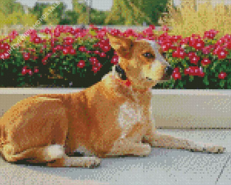 Red Heeler and pink flowers Diamond Dotz Red Heeler And Pink Flowers Diamond Painting